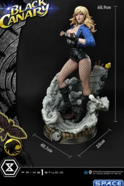 1/3 Scale Black Canary Museum Masterline Statue