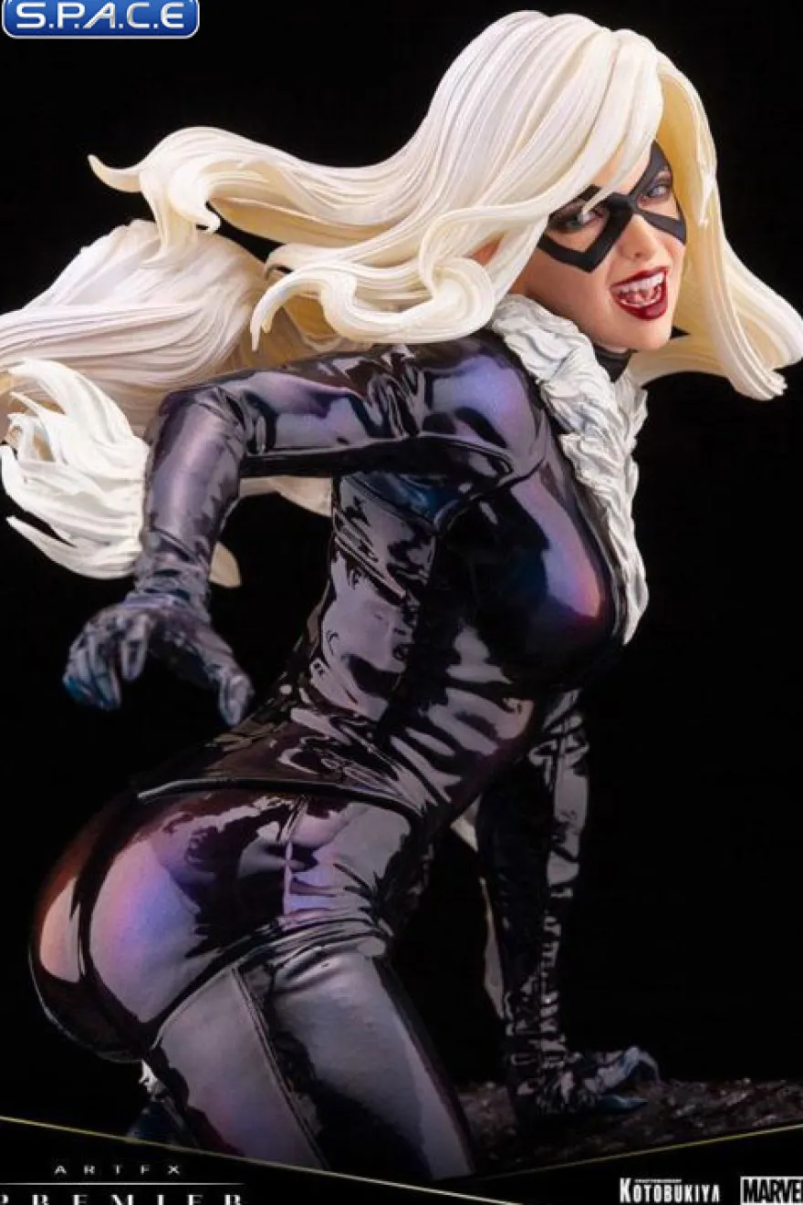 1/10 Scale Black Cat