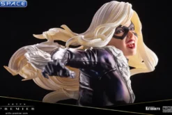 1/10 Scale Black Cat
