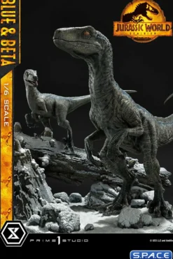 1/6 Scale Blue & Beta Legacy Museum Collection Statue