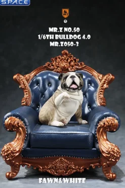 1/6 Scale Bulldog »giving a paw«