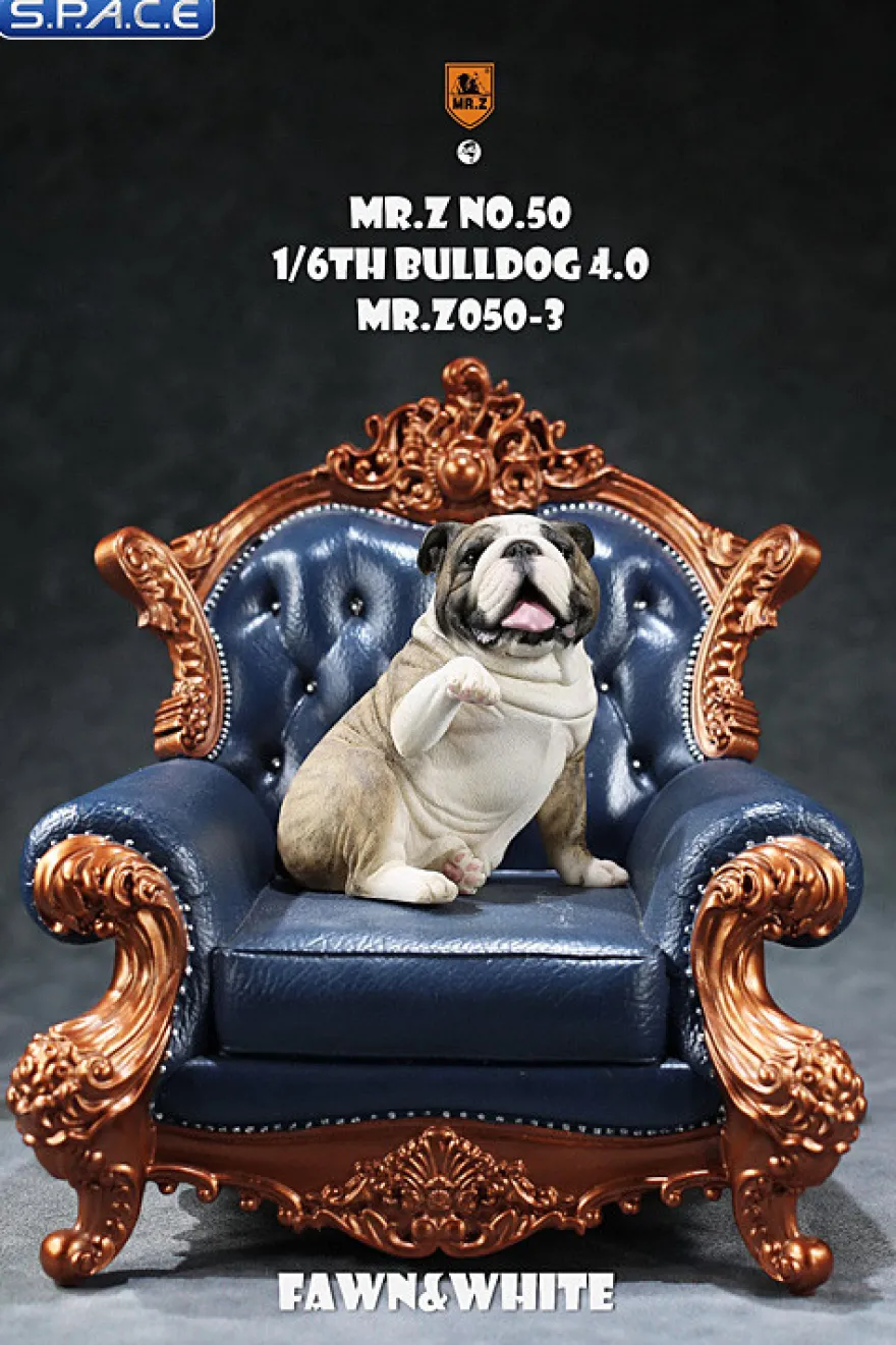 1/6 Scale Bulldog »giving a paw«