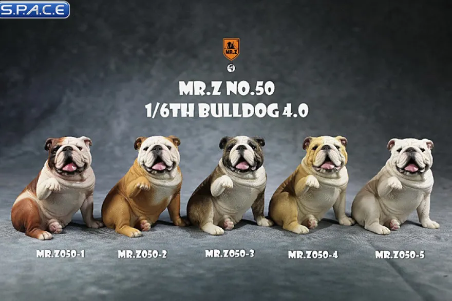 1/6 Scale Bulldog »giving a paw«