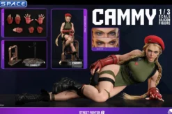 1/3 Scale Cammy