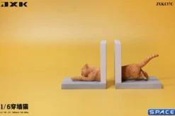 1/6 Scale Cat through the Wall