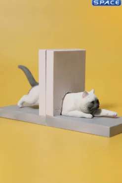 1/6 Scale Cat through the Wall