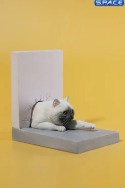 1/6 Scale Cat through the Wall