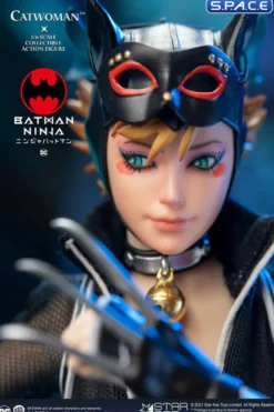 1/6 Scale Catwoman
