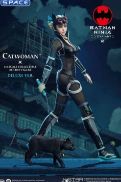 1/6 Scale Catwoman Deluxe Version