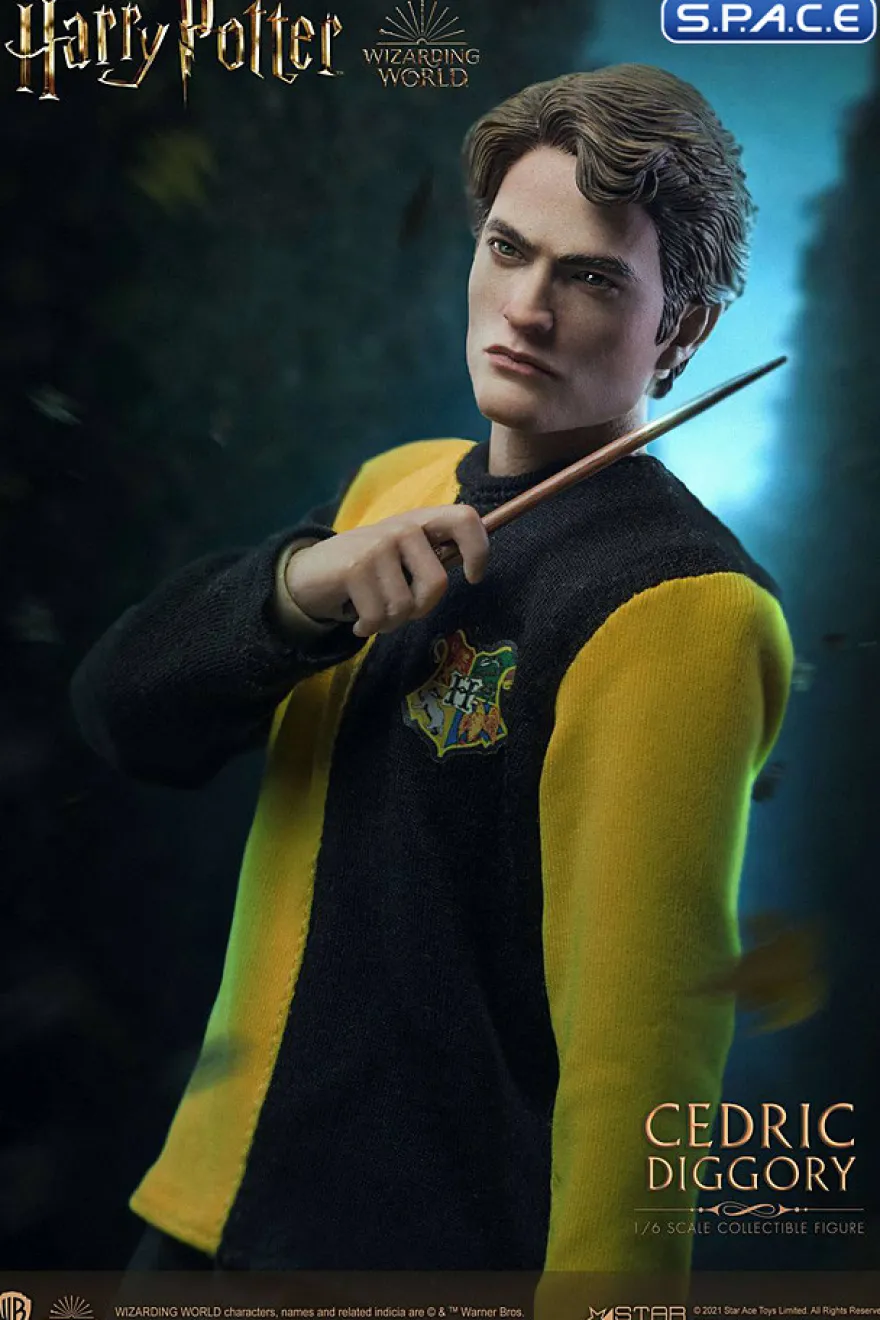 1/6 Scale Cedric Diggory