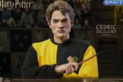 1/6 Scale Cedric Diggory