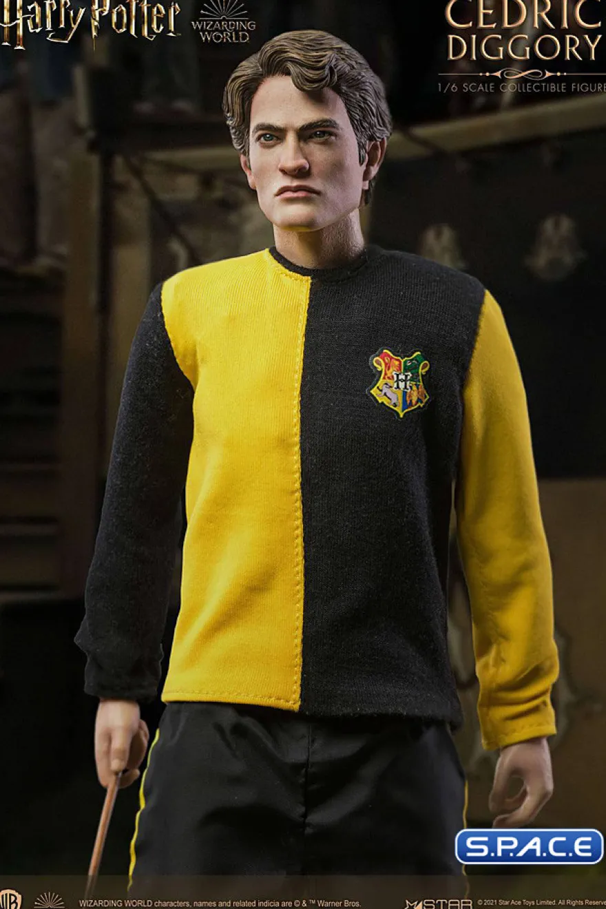 1/6 Scale Cedric Diggory