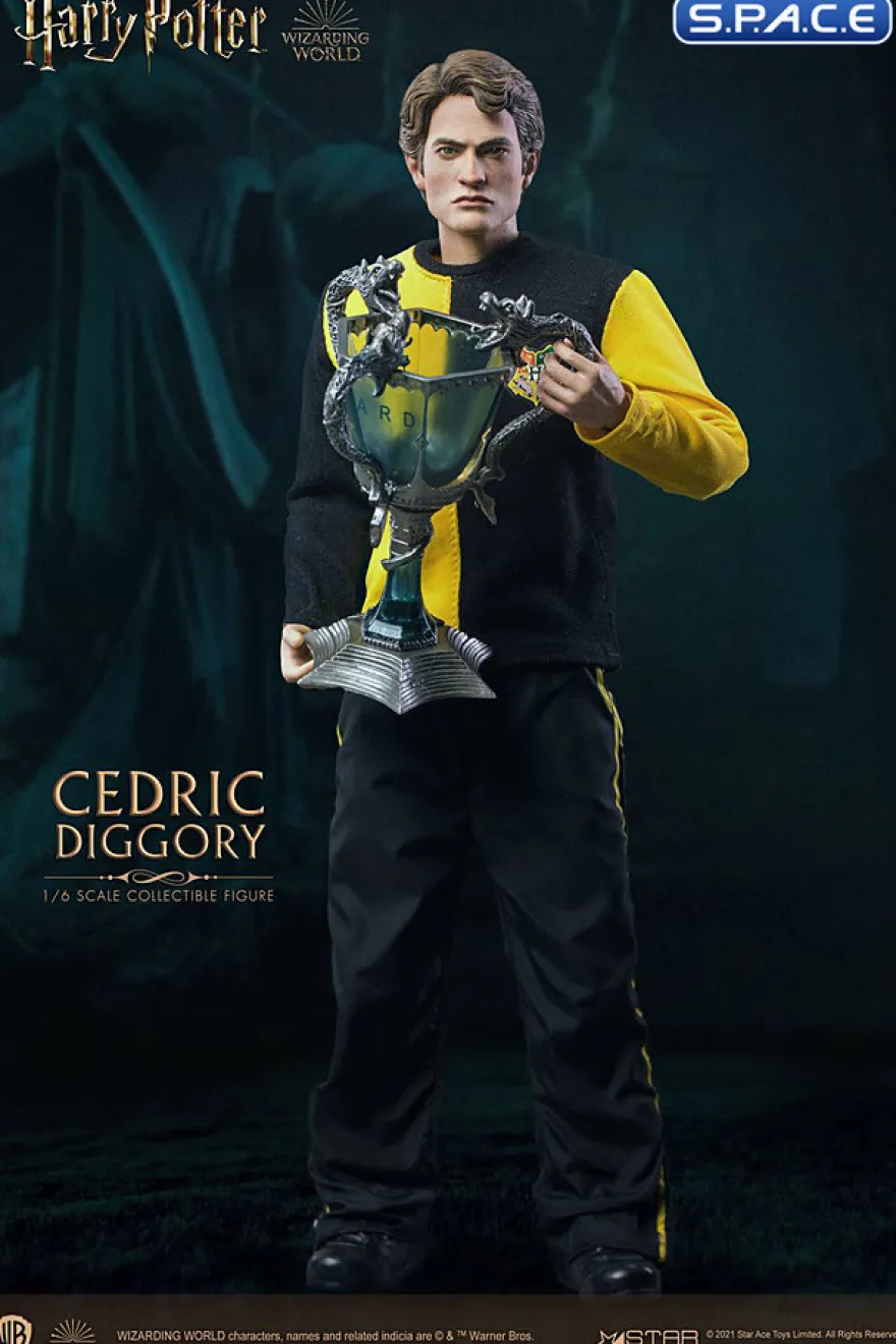 1/6 Scale Cedric Diggory