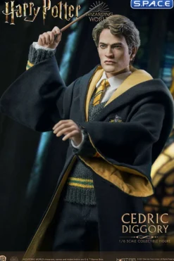 1/6 Scale Cedric Diggory Deluxe Version