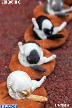 1/6 Scale Chicken Leg Cat