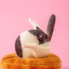 1/6 Scale Chicken Leg Cat