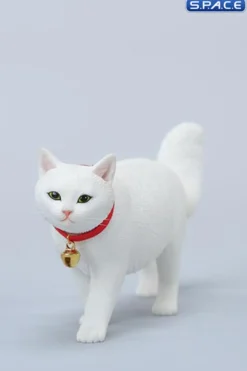 1/6 Scale chinese Rural Cat Version C