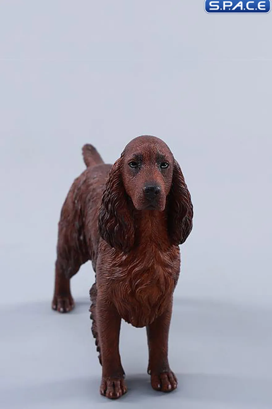 1/6 Scale Cocker Spaniel Version A
