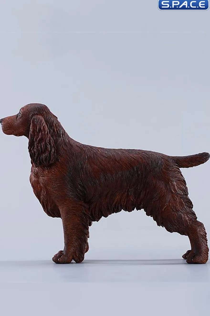 1/6 Scale Cocker Spaniel Version A