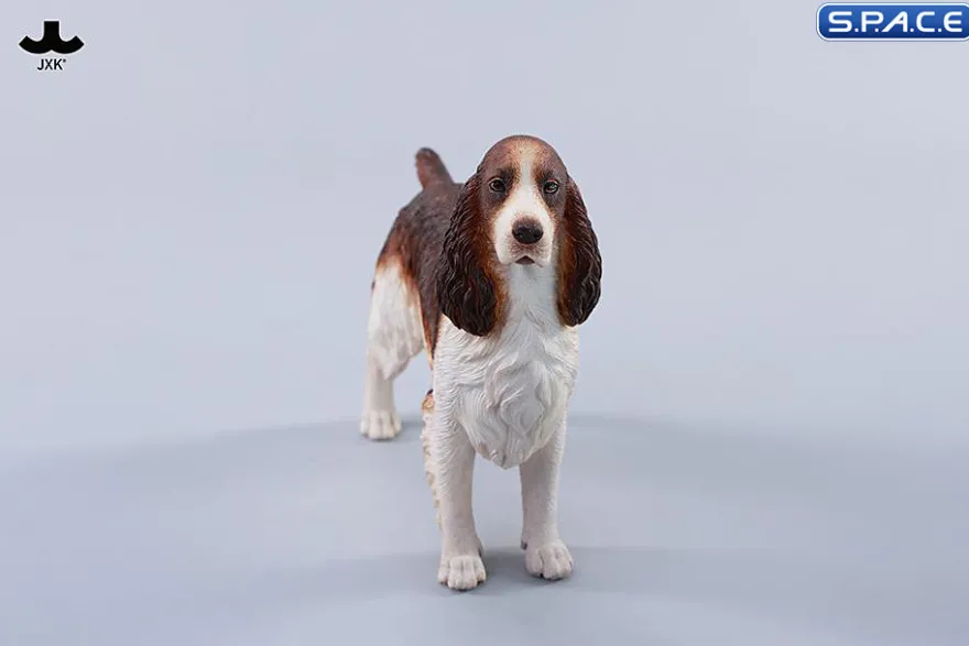 1/6 Scale Cocker Spaniel Version B