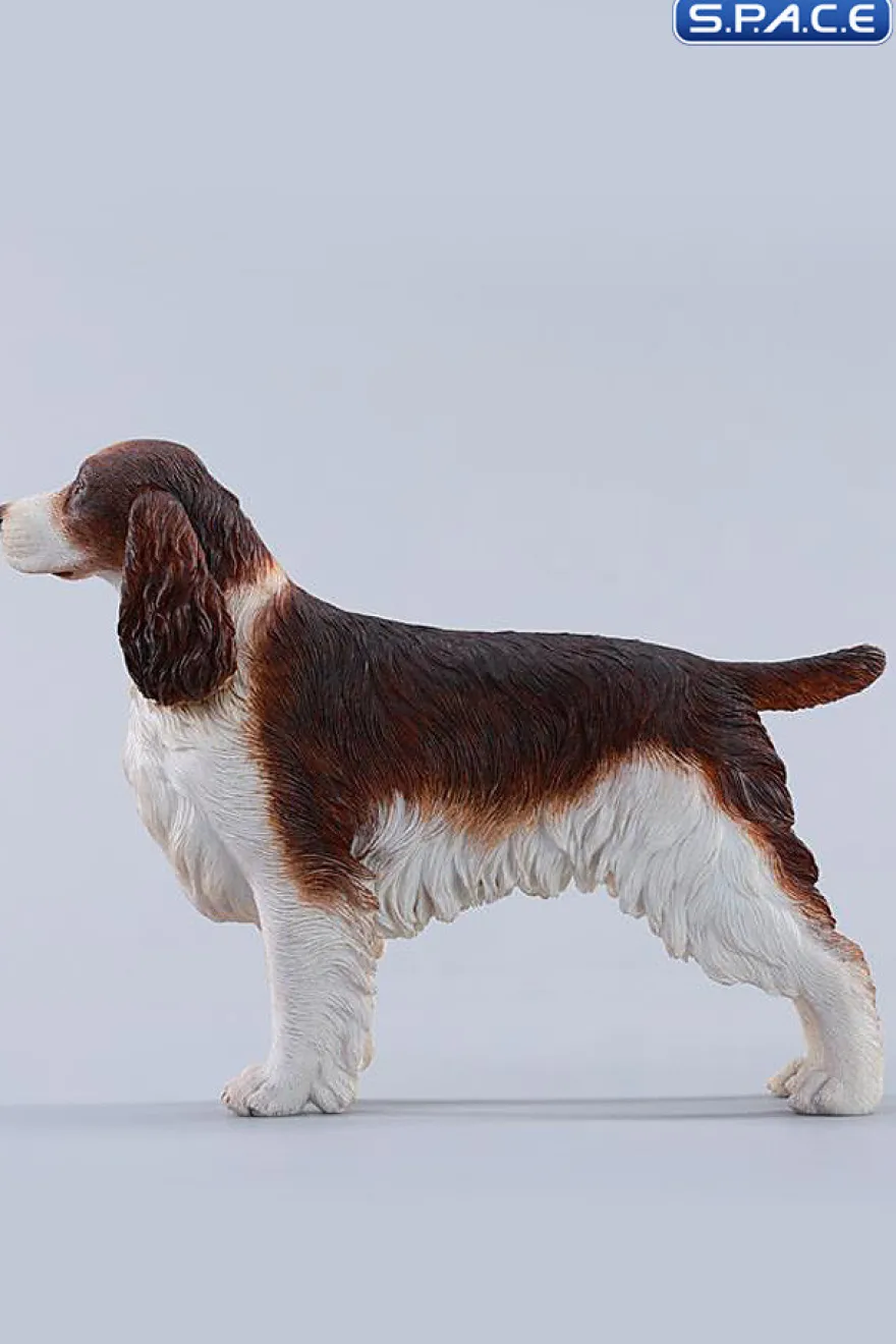 1/6 Scale Cocker Spaniel Version B
