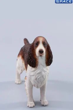 1/6 Scale Cocker Spaniel Version B