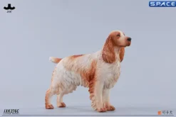 1/6 Scale Cocker Spaniel Version C