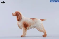 1/6 Scale Cocker Spaniel Version C