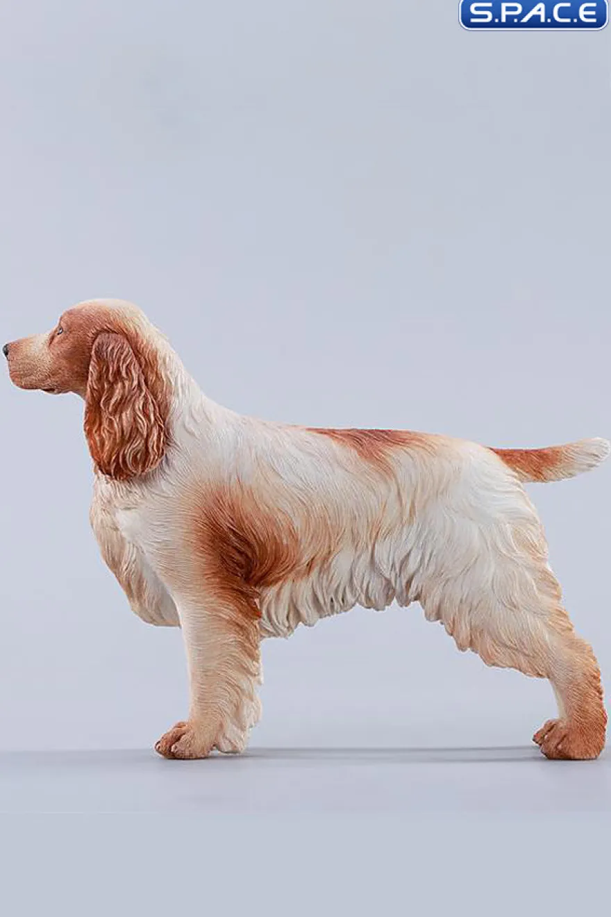 1/6 Scale Cocker Spaniel Version C