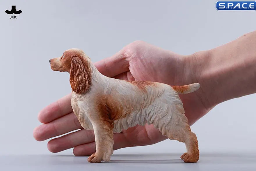 1/6 Scale Cocker Spaniel Version C