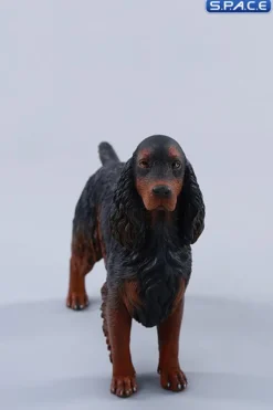 1/6 Scale Cocker Spaniel Version D