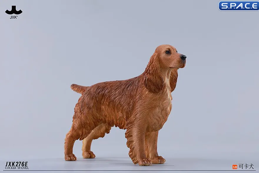 1/6 Scale Cocker Spaniel Version E