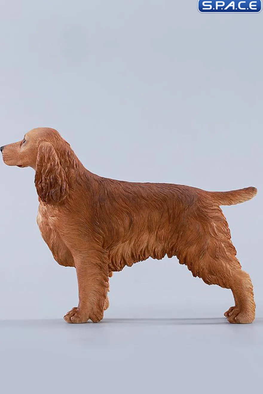 1/6 Scale Cocker Spaniel Version E