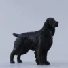 1/6 Scale Cocker Spaniel Version F