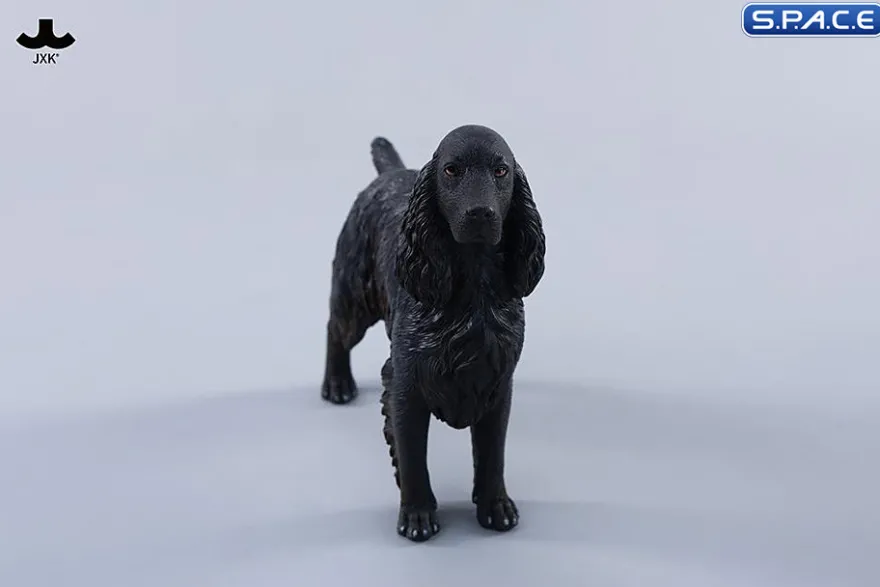 1/6 Scale Cocker Spaniel Version F