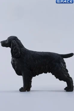 1/6 Scale Cocker Spaniel Version F