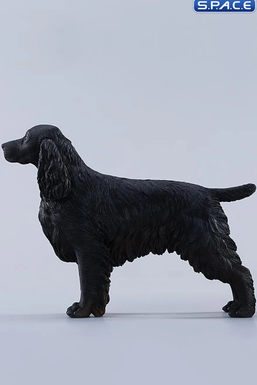 1/6 Scale Cocker Spaniel Version F