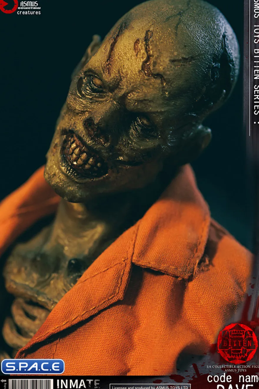 1/6 Scale Code Name Dave