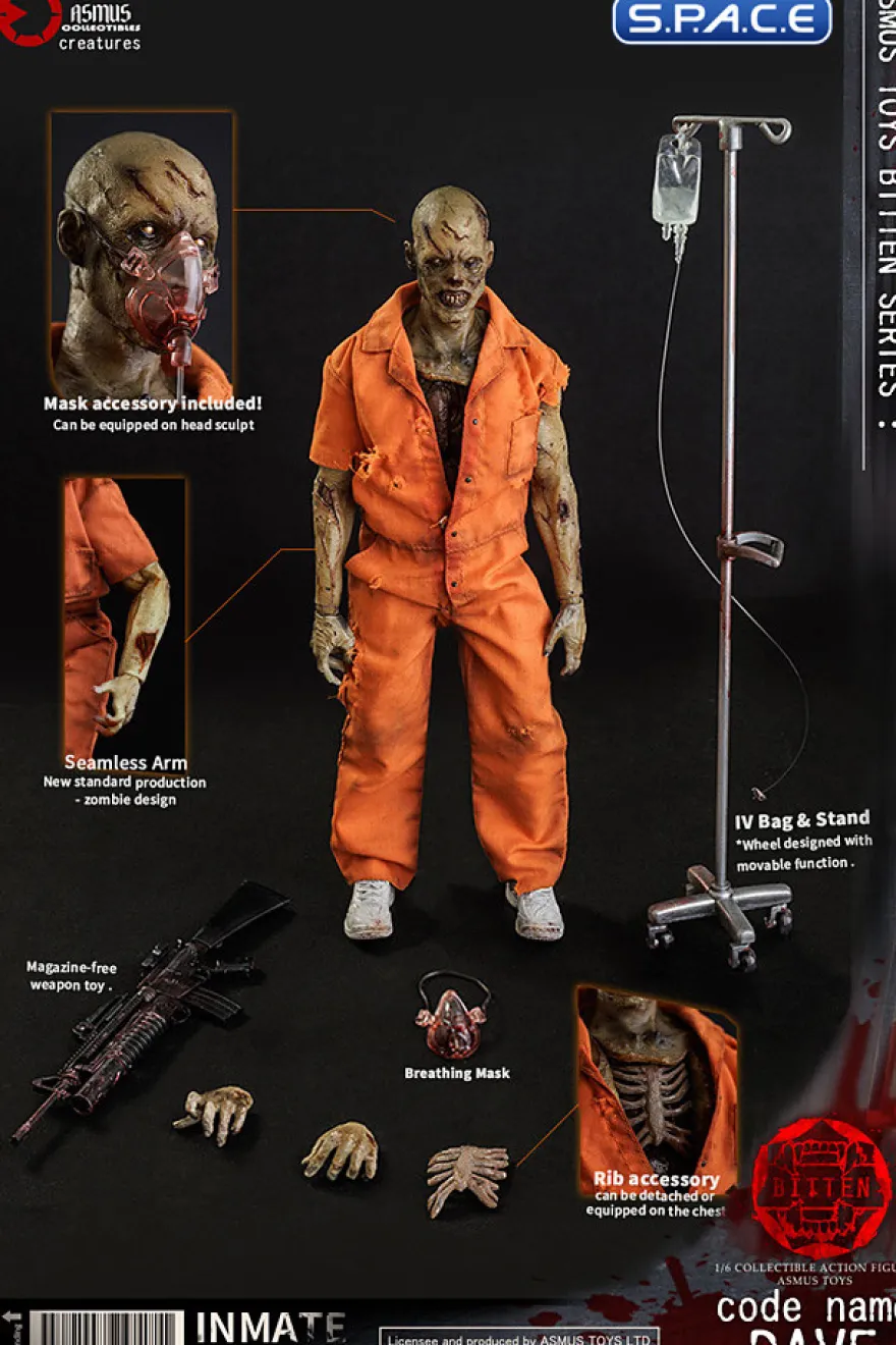1/6 Scale Code Name Dave