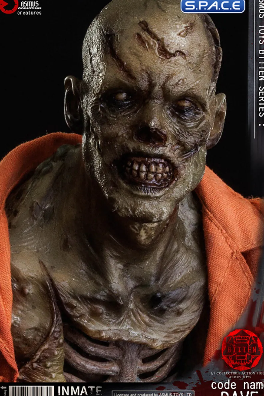 1/6 Scale Code Name Dave