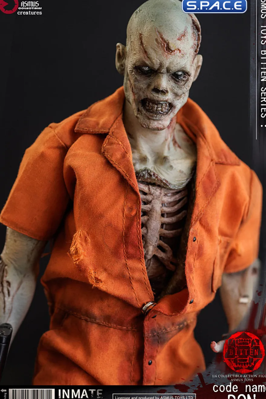 1/6 Scale Code Name Don