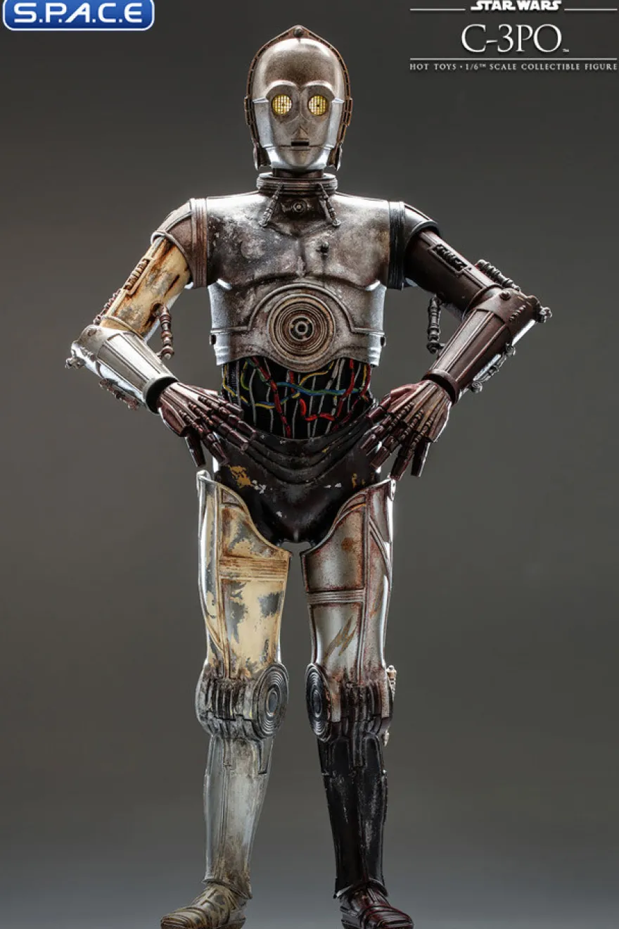 1/6 Scale C-3PO 20th Anniversary Collection