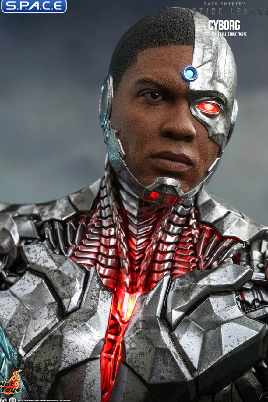 1/6 Scale Cyborg TV Masterpiece TMS057