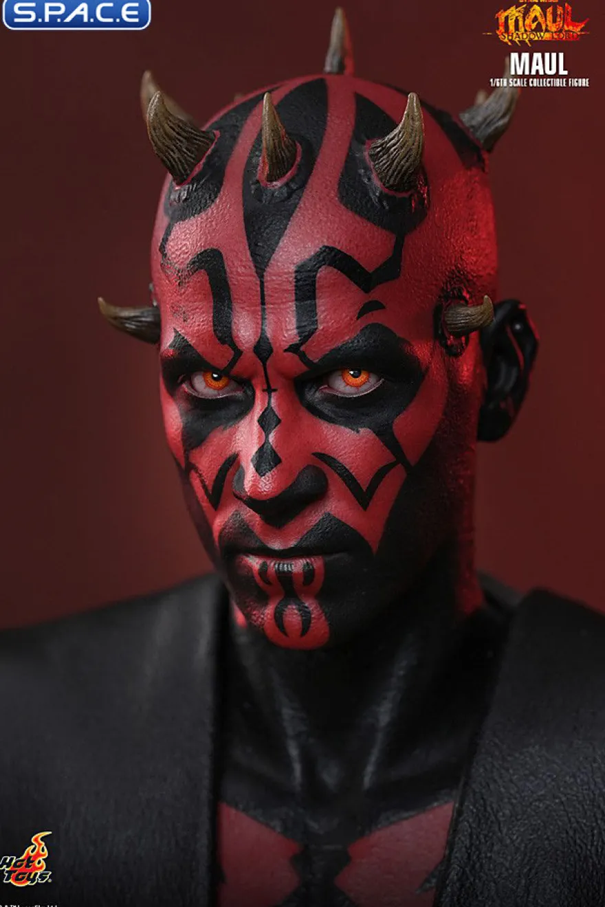 1/6 Scale Darth Maul TV Masterpiece TMS187