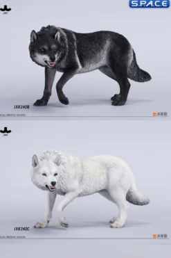 1/6 Scale Dire Wolf Version A