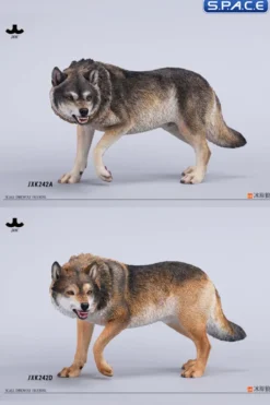 1/6 Scale Dire Wolf Version A