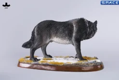 1/6 Scale Dire Wolf Version B