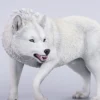1/6 Scale Dire Wolf Version C