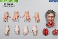 1/6 Scale Dr. Carl Hill - Deluxe Version