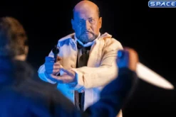 1/6 Scale Dr. Loomis